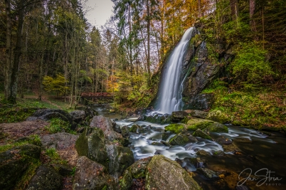 Forest Waterfall