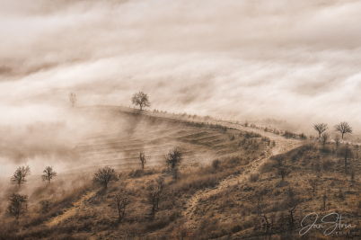Above Fog