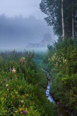 Moody morning