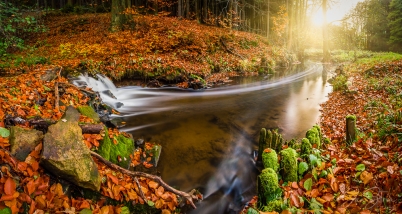 Autumn by a River