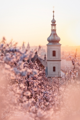 Early Spring in Prague