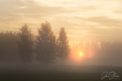 Morning Dreaming