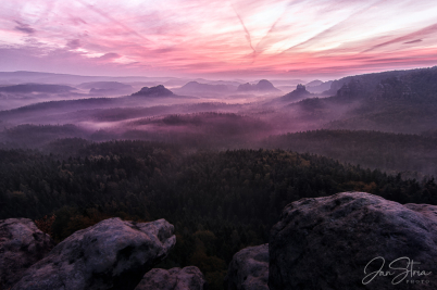 Pink Morning