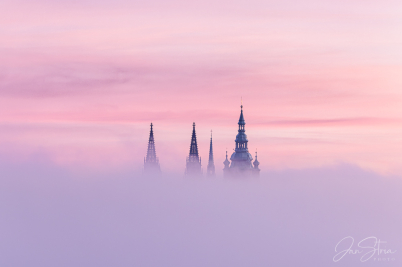 Hide and Seek in morning fog
