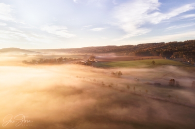 Sunlit Morning