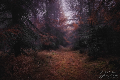 Eerie calm