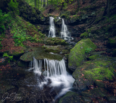Silent Beauty
