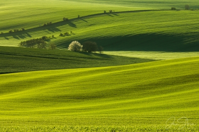 Vlny Jižní Moravy