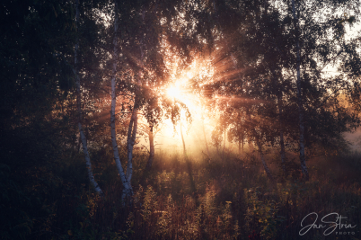 Light Explosion