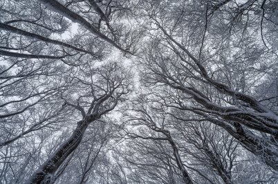 Upwards