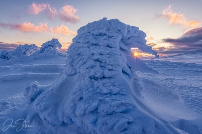 Winter Giants